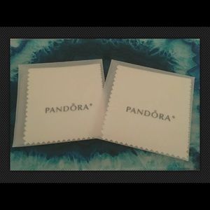 Pandora Jewelry Cleaning Cloths (2)